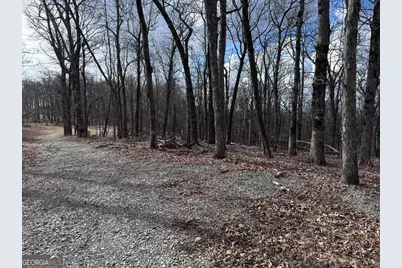 Tr C Old A T Approach Trail, Jasper, GA 30143 - Photo 13