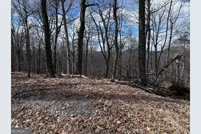 Tr C Old A T Approach Trail, Jasper, GA 30143 - Photo 17