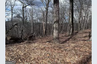 Tr C Old A T Approach Trail, Jasper, GA 30143 - Photo 15