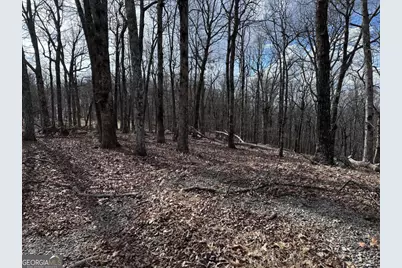 Tr C Old A T Approach Trail, Jasper, GA 30143 - Photo 19