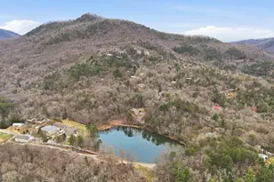 74 Blanche Place Rd, Clayton, GA 30525 - Photo 33