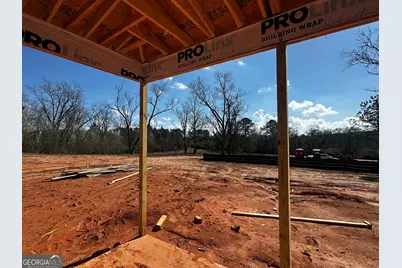 0 Coweta Heard Road, Hogansville, GA 30230 - Photo 9