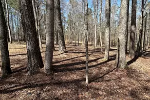 6565 Phillips Mill Rd, Douglasville, GA 30135 - Photo 47