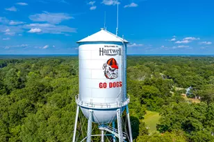 784 Center of the World Rd, Canon, GA 30520 - Photo 55