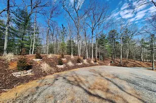 241 Wolf Creek Mountain Rd, Mineral Bluff, GA 30559 - Photo 61