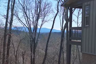 241 Wolf Creek Mountain Rd, Mineral Bluff, GA 30559 - Photo 1