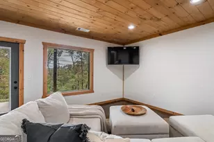 241 Wolf Creek Mountain Rd, Mineral Bluff, GA 30559 - Photo 49