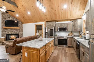 241 Wolf Creek Mountain Rd, Mineral Bluff, GA 30559 - Photo 37