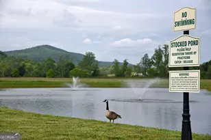 435 Golden Nugget Rd, Blairsville, GA 30512 - Photo 57