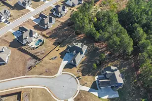 30 Perkins Cv, Senoia, GA 30276 - Photo 67