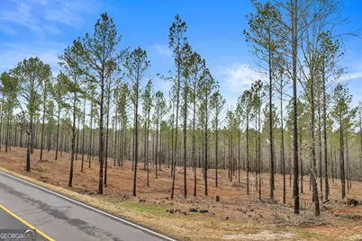 10 Lexington Estates, Lexington, GA 30648 - Photo 33