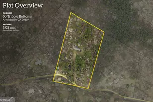 60 Tribble Bottoms Rd, Arnoldsville, GA 30619 - Photo 55