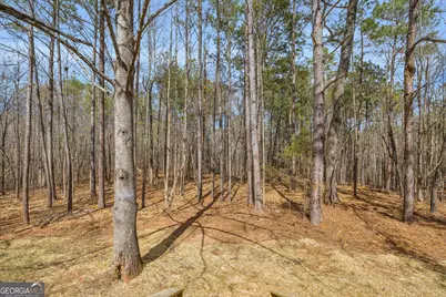 60 Tribble Bottoms Road, Arnoldsville, GA 30619 - Photo 45