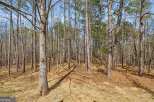 60 Tribble Bottoms Rd, Arnoldsville, GA 30619 - Photo 45