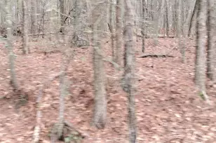 8014 Norris Lake, Snellville, GA 30039 - Photo 1