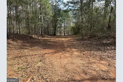 0 Lowery Rd (3.94 Ac), Grantville, GA 30220 - Photo 5