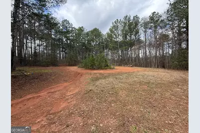 0 Lowery Rd (3.94 Ac), Grantville, GA 30220 - Photo 9