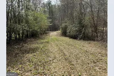 0 Lowery Rd (3.94 Ac), Grantville, GA 30220 - Photo 3