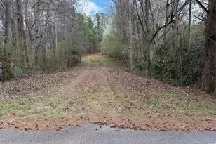 0 Lowery Rd (3 94 Ac), Grantville, GA 30220 - Photo 1