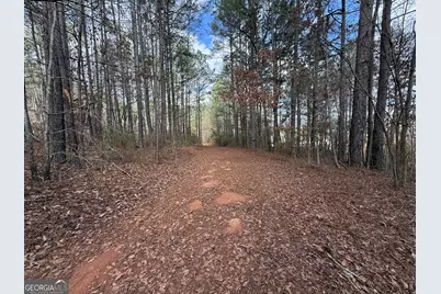 0 Lowery Rd (3.94 Ac), Grantville, GA 30220 - Photo 7