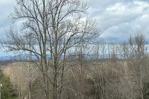 2838 Skitts Mountain Rd, Cleveland, GA 30528 - Photo 23