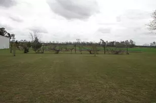 40 Comer Yawn Rd, Hazlehurst, GA 31539 - Photo 13