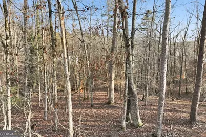 7703 Elm Circle, Murrayville, GA 30564 - Photo 15