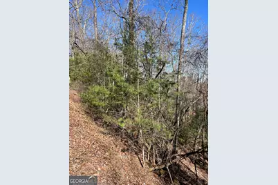 0 Eastman Mtn Road, Tiger, GA 30576 - Photo 3