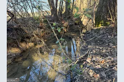 0 Brookshire Road, Ranger, GA 30734 - Photo 15