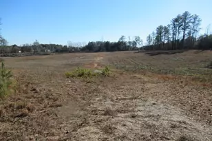 391 Hog Liver Rd, Carrollton, GA 30117 - Photo 1