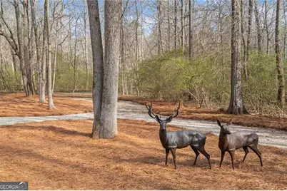 2995 Gum Creek Road, Oxford, GA 30054 - Photo 5