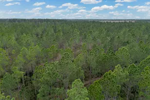 2110 Post Rd, Hazlehurst, GA 31539 - Photo 29