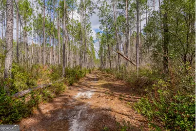2110 Post Road, Hazlehurst, GA 31539 - Photo 27