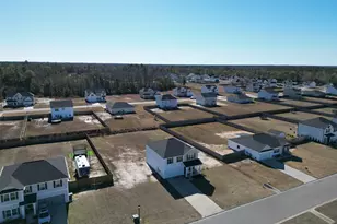 182 Whipporwill Way NE, Ludowici, GA 31316 - Photo 47