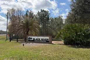 140 Josh And Scott Wy, Folkston, GA 31537 - Photo 1
