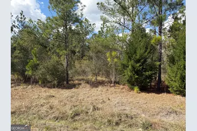 140 Josh and Scott Way, Folkston, GA 31537 - Photo 3