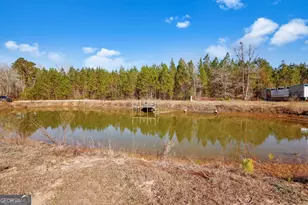 2505 Odum Rd S, Odum, GA 31555 - Photo 25