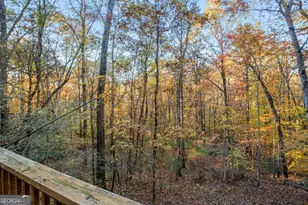 205 Briarwood Ln, Clayton, GA 30525 - Photo 49