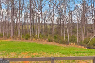 214 Franklin Hills Drive, Carnesville, GA 30521 - Photo 11