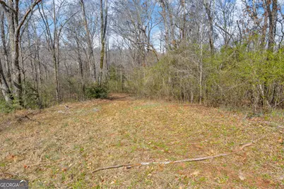 5354 Highway 29, Royston, GA 30662 - Photo 39