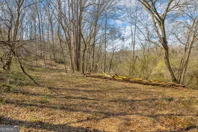 5354 Highway 29, Royston, GA 30662 - Photo 43