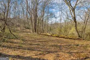 5354 Hwy 29, Royston, GA 30662 - Photo 43