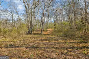 5354 Hwy 29, Royston, GA 30662 - Photo 45