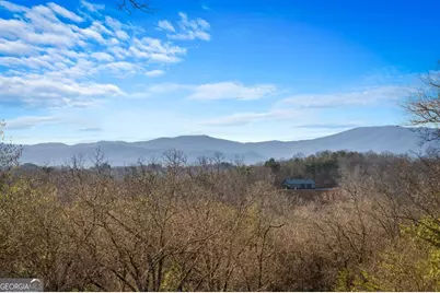196 S Williamstown Ridge, Mineral Bluff, GA 30559 - Photo 45