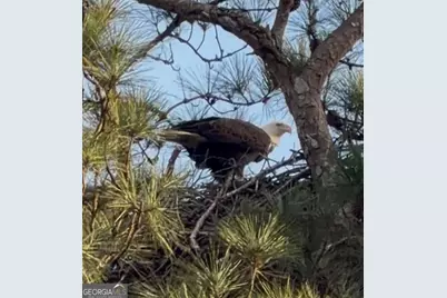 2966 Riviera Drive NW, Conyers, GA 30012 - Photo 3