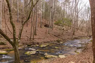 130 Clark Dr, Ellijay, GA 30540 - Photo 31