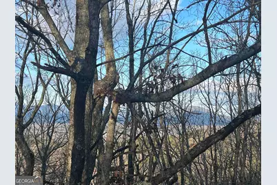 0 Daybreak Road, Cleveland, GA 30528 - Photo 9