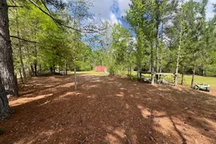 742 Halls Bridge Rd, Swainsboro, GA 30401 - Photo 23