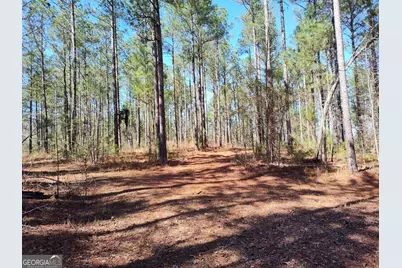 1302 River Road, Elberton, GA 30635 - Photo 3