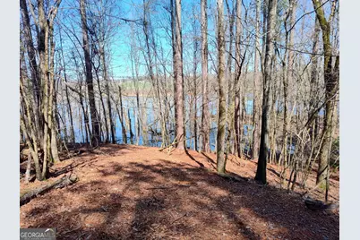 1302 River Road, Elberton, GA 30635 - Photo 5